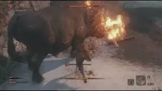 Sekiro: Shadows Die Twice_20260203090235