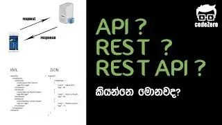 What is REST API? | Web Service | API එකක් කියන්නේ මොකක්ද?