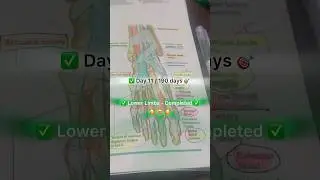 ✅ Day 11 / 190 Days🎯// Lower Limbs- Completed 🥰✅ #mrcs  #selfmotivation  #study #medicallife #doc