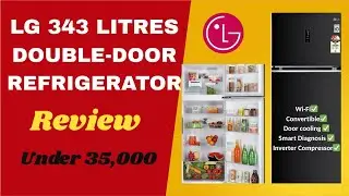 LG 343L Double Door Refrigerator Review 2025 – Worth Buying? | Convertible | Door Cooling+ |  Wi-Fi