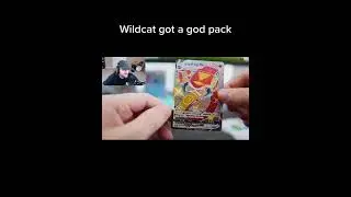 Wildcat got a God Pack of Pok&eacute;mon cards