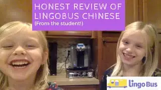 Lingobus Honest Review