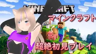 【雑談・ゲーム配】マインクラフト超絶初見プレイ＃16