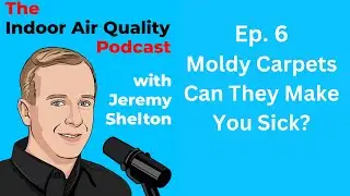 Can Moldy Carpet Make You Sick? | SafeAir Mold Testing Explains the Health Risks & Solutions