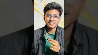 Indian Dinosaur