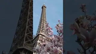Paris is stunning on spring 🌸🇫🇷 #travel #france #paris #eiffeltower #spring