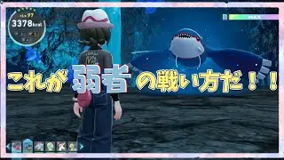 【M次元ラッシュ】メガストーンを持ってないメガニウムはただのメガニウム。【ポケモンレジェンズZA】