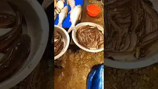 আজকের টাটকা নদীর মাছের বাজার 🐟 | Fresh River Fish Market Bangladesh.