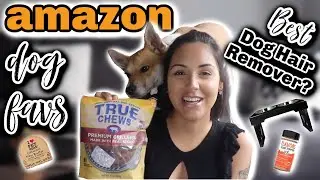 10 AMAZON MUST HAVES: Dog Edition || Amazon favorites you need for your dog! || Lulu Kane