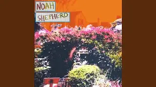 No Wheres Home