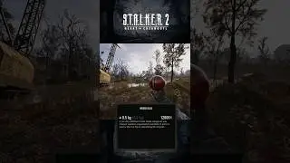 How to find the legendary artifact Strange Ball in Stalker 2