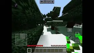 30.1 World record for fastest to get a large fern