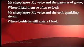 My Sheep Know My Voice (A Solo) -  with Lyrics: Deeper Life Manchester POWER 2018 Concert