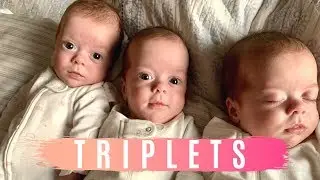 Can't Believe the Triplets might need this! | Life with Triplets & 2 Toddlers
