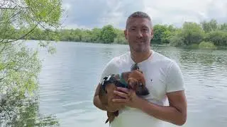 Taking Your Dog on Holiday Top Tips with Dr Paul Manktelow