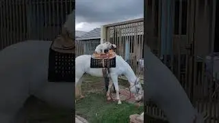kali com a serena