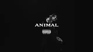 AVIRAL - ANIMAL 