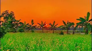 Nature never goes out of style #shorts #nature #viral #video #beautyofnature1245