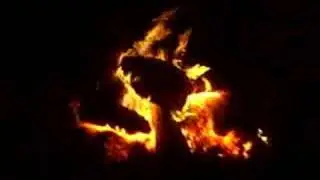 bonfire conversations
