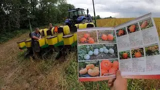 PLANTING OUTSTANDING PUMPKINS