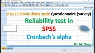 2 to 11 Point Likert scale Questionnaire survey Reliability test in SPSS Cronbach's alpha