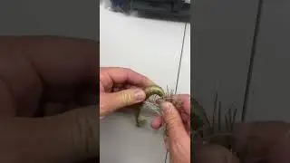 Rigging a swim jig