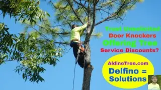 Can I trust a 24 hour Special Price Quote? (Tree service in Bellaire)