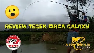 Review Joran Tegek Orca galaxy