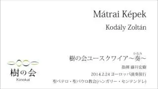M&aacute;trai k&eacute;pek -マトラの風景（Z. Kod&aacute;ly）