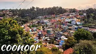Serene Drive from Ooty to Coonoor | Nilgiri Hills, Tamil Nadu