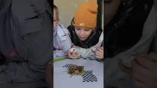 Экскурсия на Ферму Улиток 