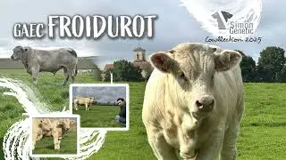GAEC FROIDUROT Vincent et Geoffrey - Cowllection 2025