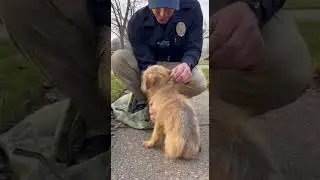 A Real Life Hero  👮&zwj;♂️🐕 #cops #rescue