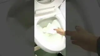 Shortflix Pressure Assist Toilets are Better than Gravity Toilets