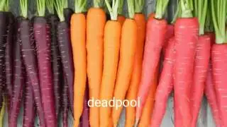 5 genetically modified fruits and  vegetables