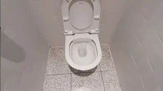 Very Nice! 2025 Duravit Wall Mounted Toilet Mated With A Geberit Concealed Cistern