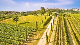 INNO ALL'ISTRIA