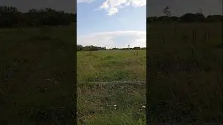Взгрустнулось #tiktok #nature #рекомендации #shorts