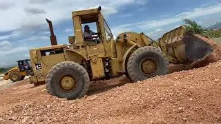 Cat 950 grading lots for housing FULL VIDEO!! #caterpillar #wheelloader #heavyequipment