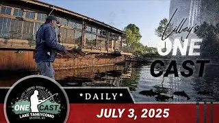 Lilley's One Cast, July 3