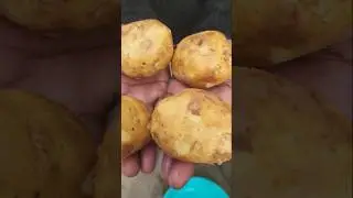 Business Of 2025 - Potato Chips Factory By Automatic Machines 😱 #ytshorts #shorts