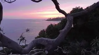 Panasonic HC-V180 Camcorder Test video footage - Optical zoom.