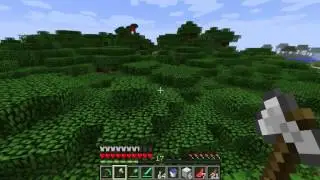 What is roofed forest - Minecraft