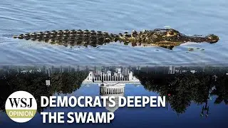 The Democrats Deepen the Washington Swamp | Wonder Land: WSJ Opinion