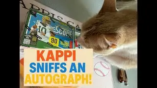 Star Pitcher Autograph Hit From a $7 2025 Donruss Fat Pack! + Hits in a 2025 Score Football Blaster