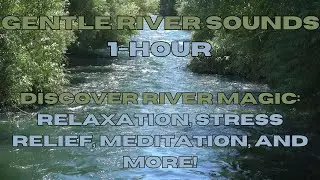 1-Hour Serene River Journey: Visual and Sound Bliss for Stress Relief, Meditation, and Relaxation