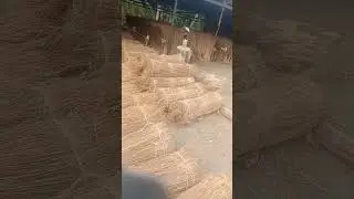 broom #coconut brooms
