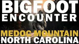 BIGFOOT ENCOUNTER AT MEDOC MOUNTAIN IN NORTH CAROLINA | THE CREATURE WALKED ACROSS THE ROAD!!!