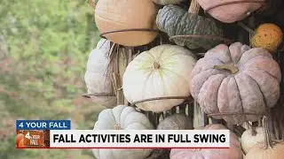 Fall activities in full swing at Cheekwood