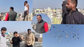 Deepak khalifa ka shok usthad Kapil talim 🔥#pigeon #kabootar #kabutar #viral 